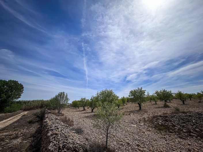 Image No.31-Maison de campagne à vendre à Almansa