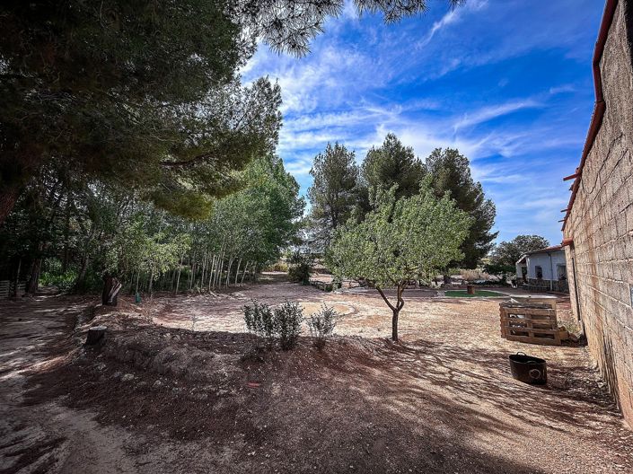 Image No.6-Maison de campagne à vendre à Almansa