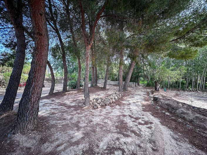 Image No.7-Maison de campagne à vendre à Almansa