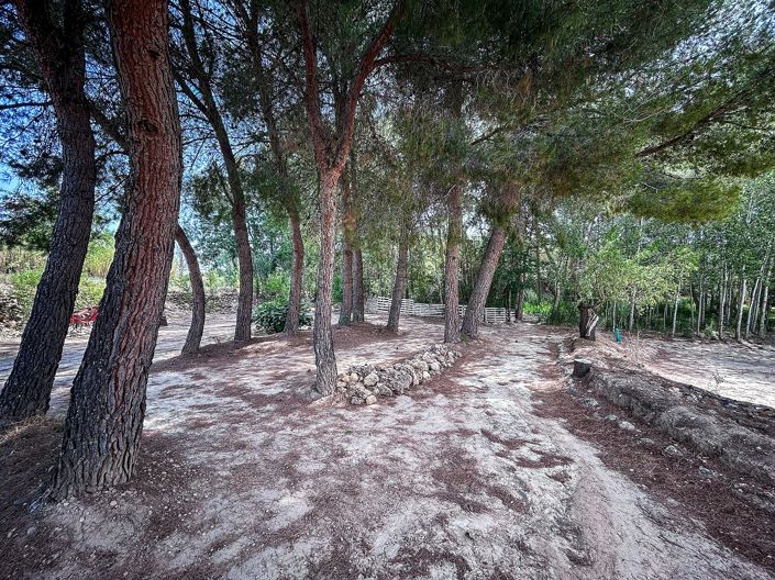 Image No.7-Maison de campagne à vendre à Almansa