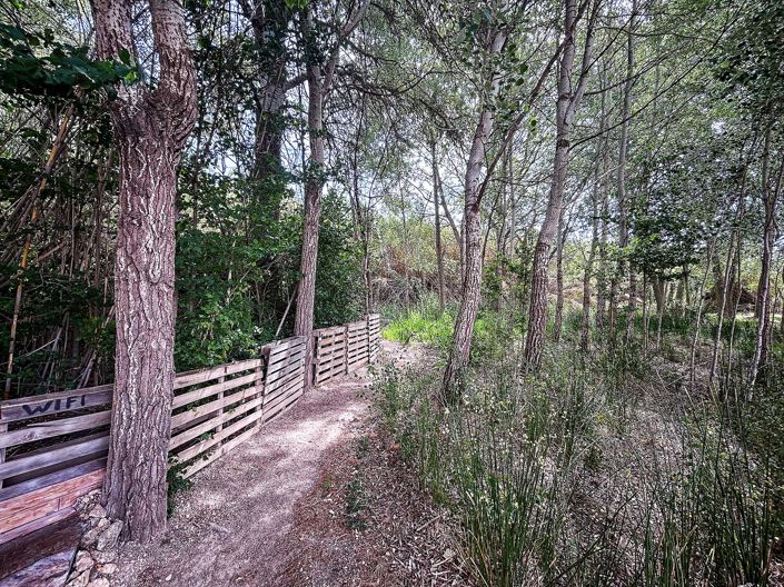 Image No.8-Maison de campagne à vendre à Almansa