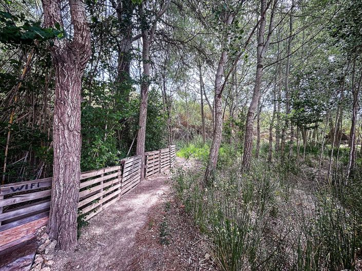 Image No.8-Maison de campagne à vendre à Almansa