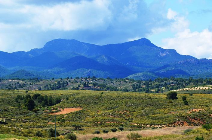 Image No.3-4 Bed House for sale