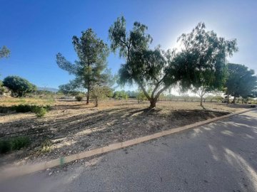 1 - Alicante, Land
