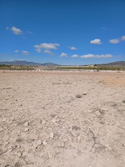 Image No.8-Land for sale