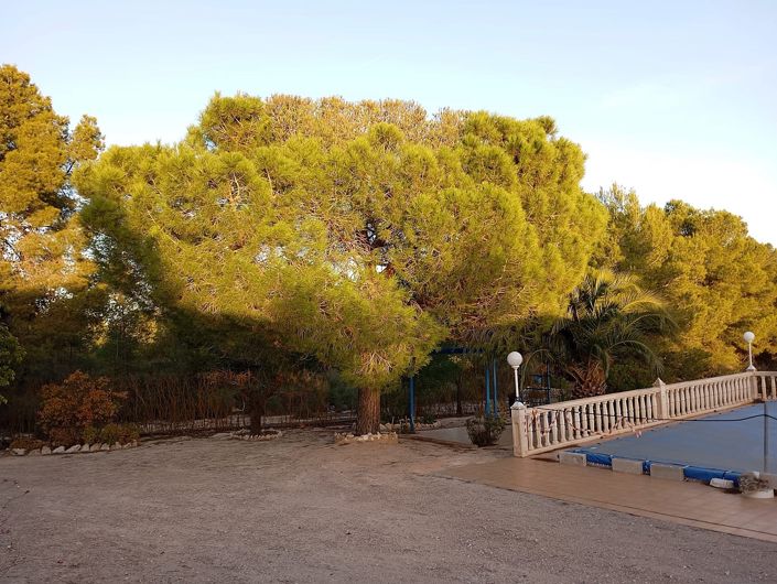 Image No.5-6 Bed Country House for sale