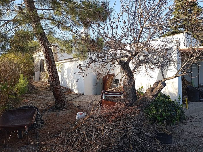 Image No.6-Maison de campagne de 6 chambres à vendre à Yecla