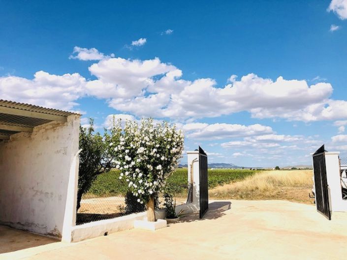 Image No.33-Maison de campagne de 4 chambres à vendre à Yecla
