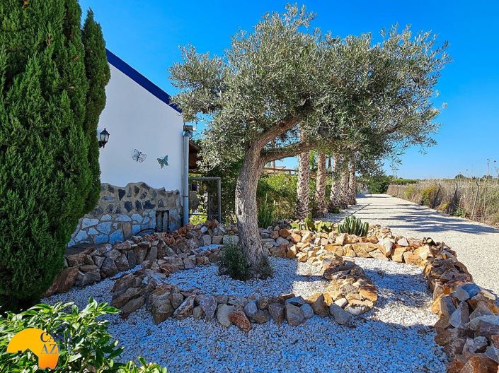 Image No.7-6 Bed Finca for sale