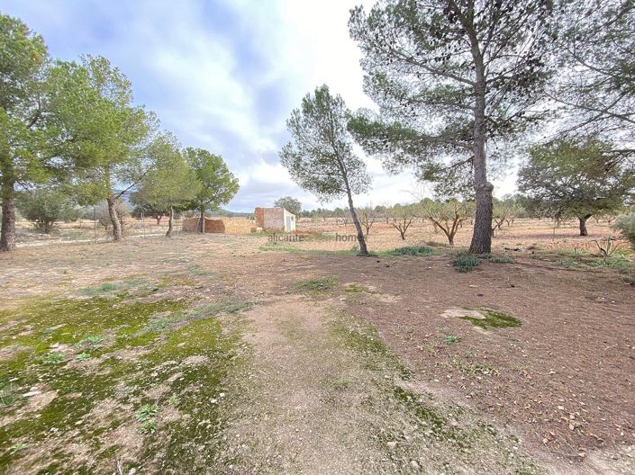 Image No.36-Maison de campagne de 8 chambres à vendre à Pinoso