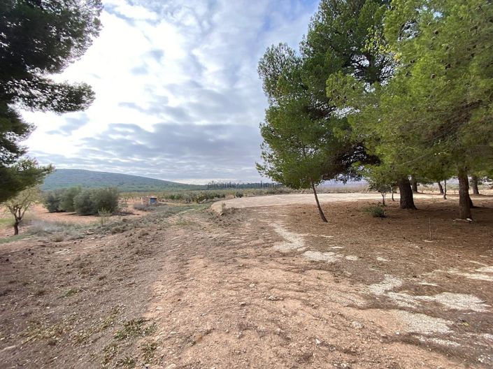 Image No.37-Maison de campagne de 8 chambres à vendre à Pinoso
