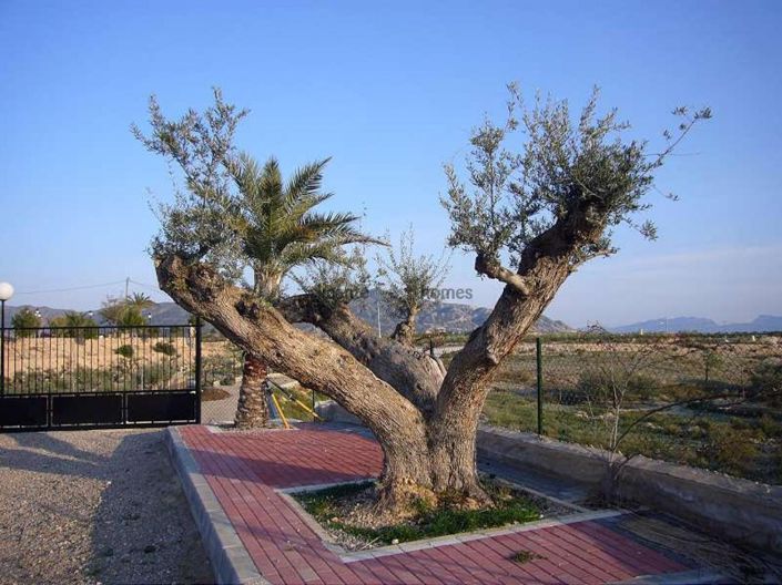 Image No.28-3 Bed Villa for sale