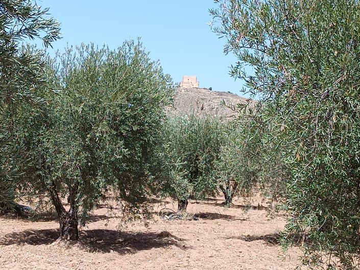 Image No.15-3 Bed Country House for sale