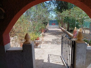 wwhatsapp-image-2025-07-15-at-163639-2-