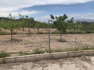 img8415-639x479