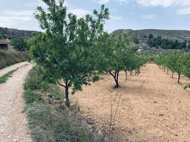 Image No.2-Land for sale