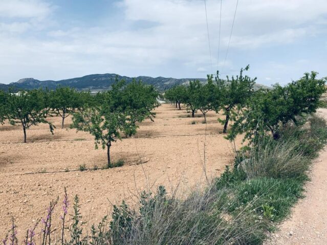 Image No.5-Land for sale