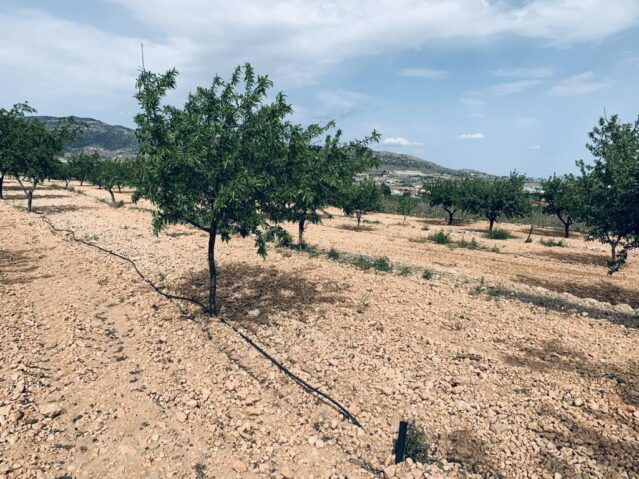 Image No.10-Land for sale