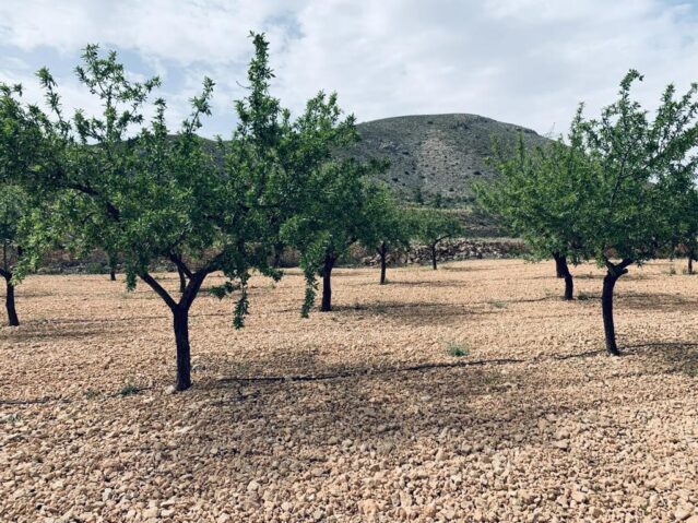 Image No.13-Land for sale