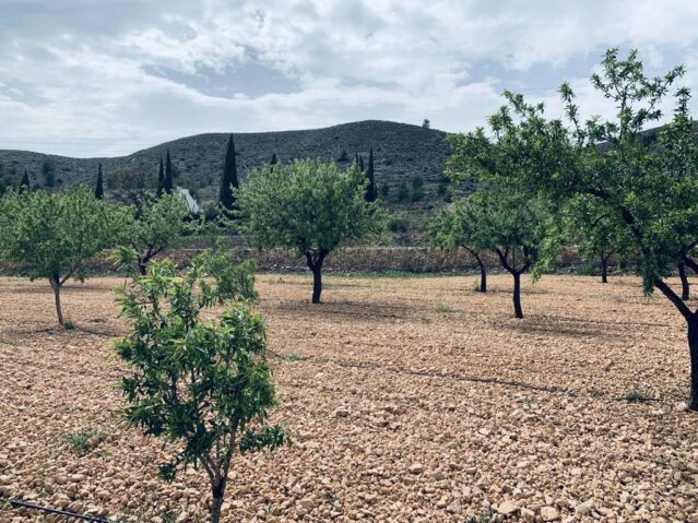 Image No.14-Land for sale