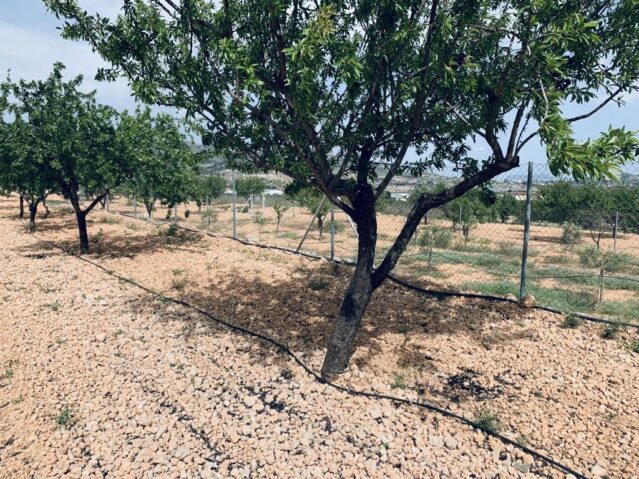 Image No.8-Land for sale