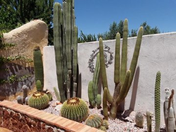 garden02-639x479