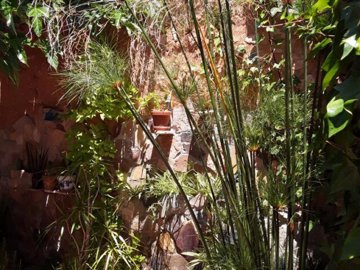garden03-639x479