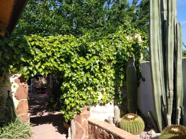 Image No.17-Villa de 6 chambres à vendre à Barbarroja 