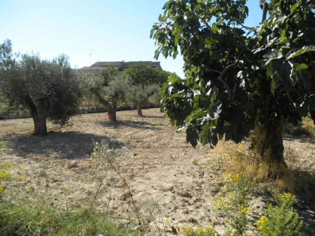 Image No.10-5 Bed Villa for sale