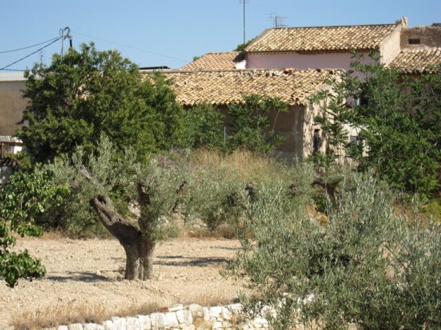 Image No.11-5 Bed Villa for sale