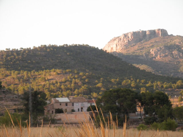 Image No.4-5 Bed Villa for sale