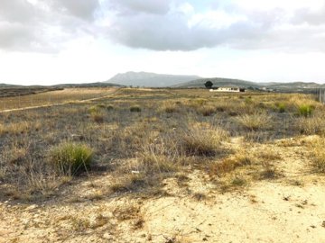 Alicante Dream Homes most sold property