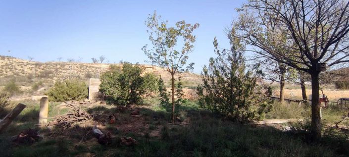 Image No.8-4 Bed Country House for sale