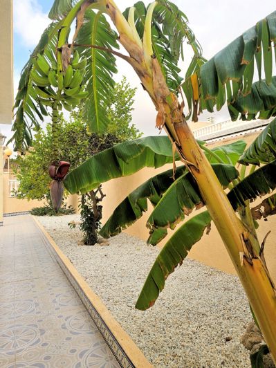 Image No.22-4 Bed Villa for sale