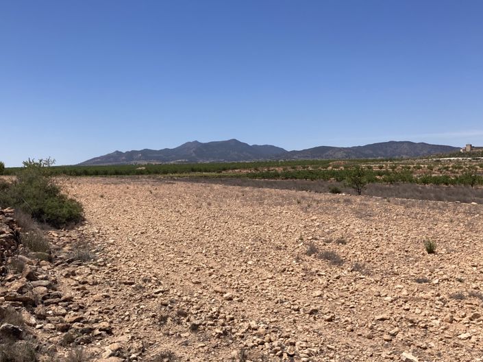 Image No.2-Land for sale