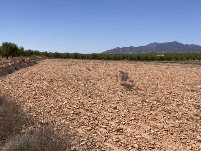 Image No.4-Land for sale