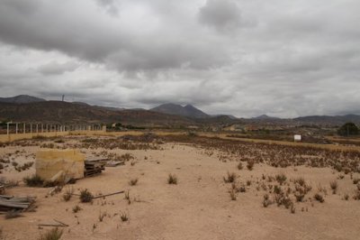 1 - Abanilla, Land