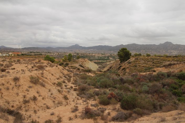 Image No.8-Land for sale