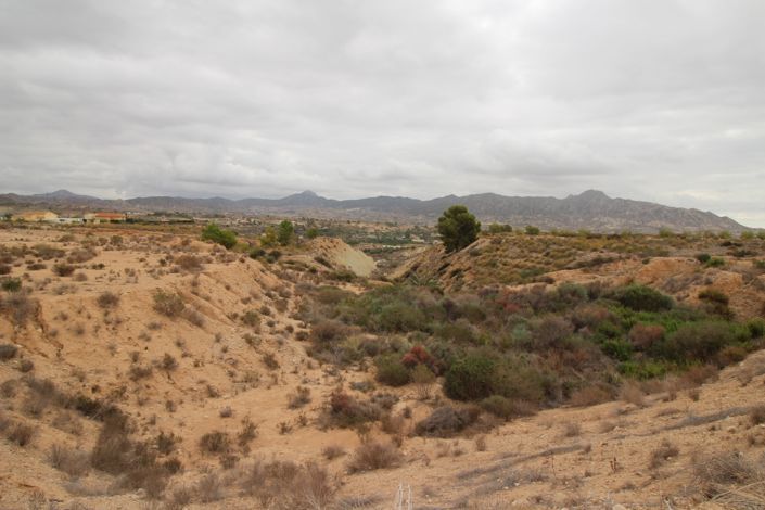 Image No.9-Land for sale