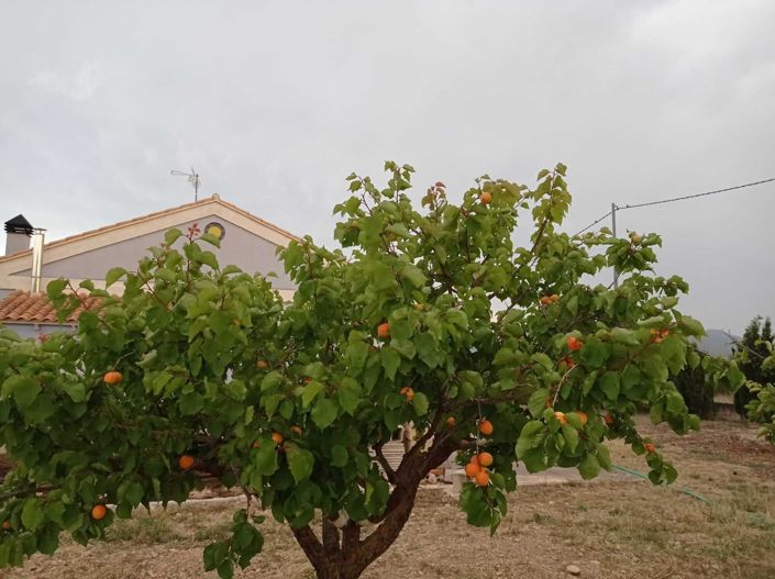 Image No.47-5 Bed Villa for sale