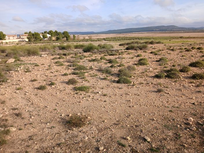 Image No.7-Land for sale