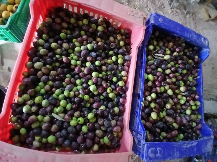 Image No.35-Villa de 6 chambres à vendre à Alicante