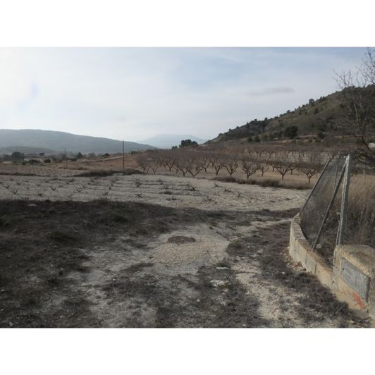 Image No.2-Maison de 2 chambres à vendre à Pinoso