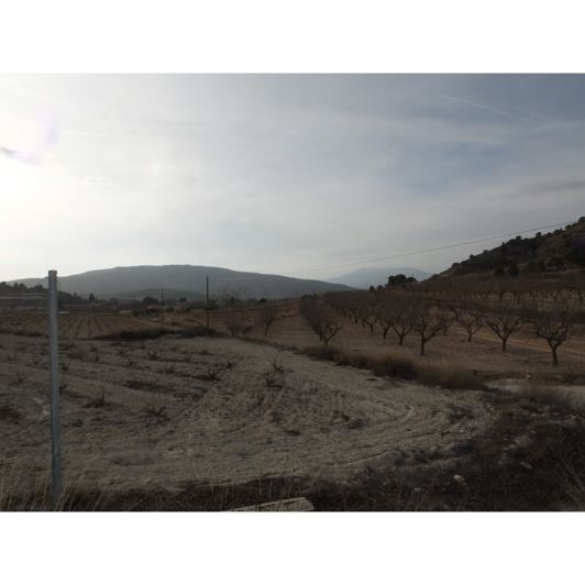 Image No.5-Maison de 2 chambres à vendre à Pinoso