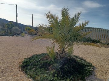 w3u0bpwmpubp3vqpf6tx8