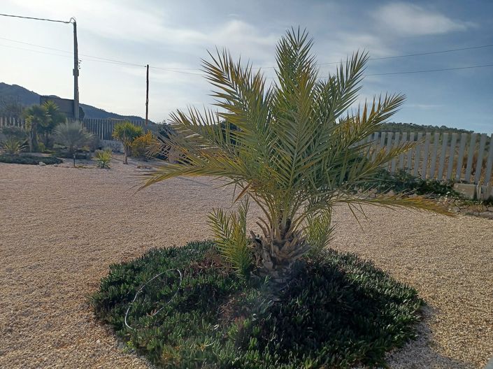 Image No.13-3 Bed Villa for sale