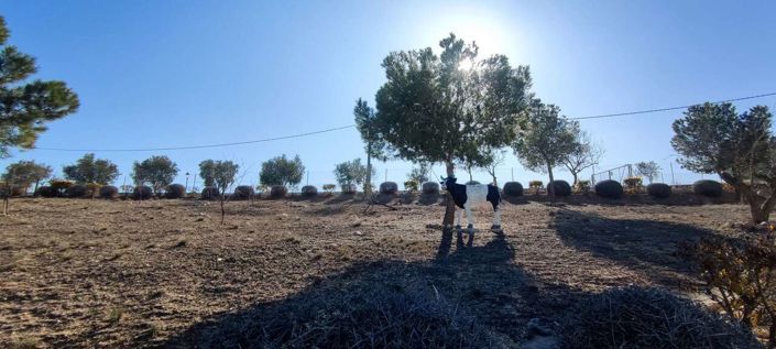 Image No.27-Villa de 3 chambres à vendre à Pinoso