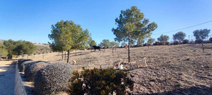 Image No.28-Villa de 3 chambres à vendre à Pinoso
