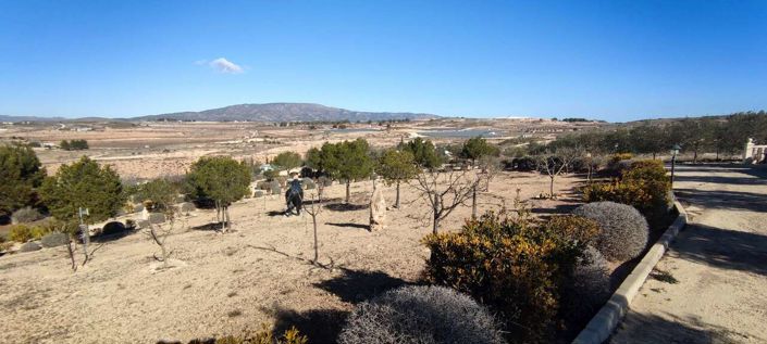 Image No.35-Villa de 3 chambres à vendre à Pinoso