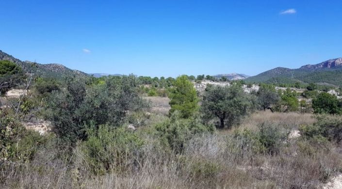 Image No.4-Land for sale